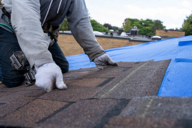 Best Roof Insulation Installation  in Darmstadt, IN