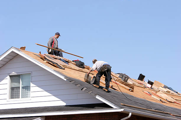 Best Roof Maintenance and Cleaning  in Darmstadt, IN